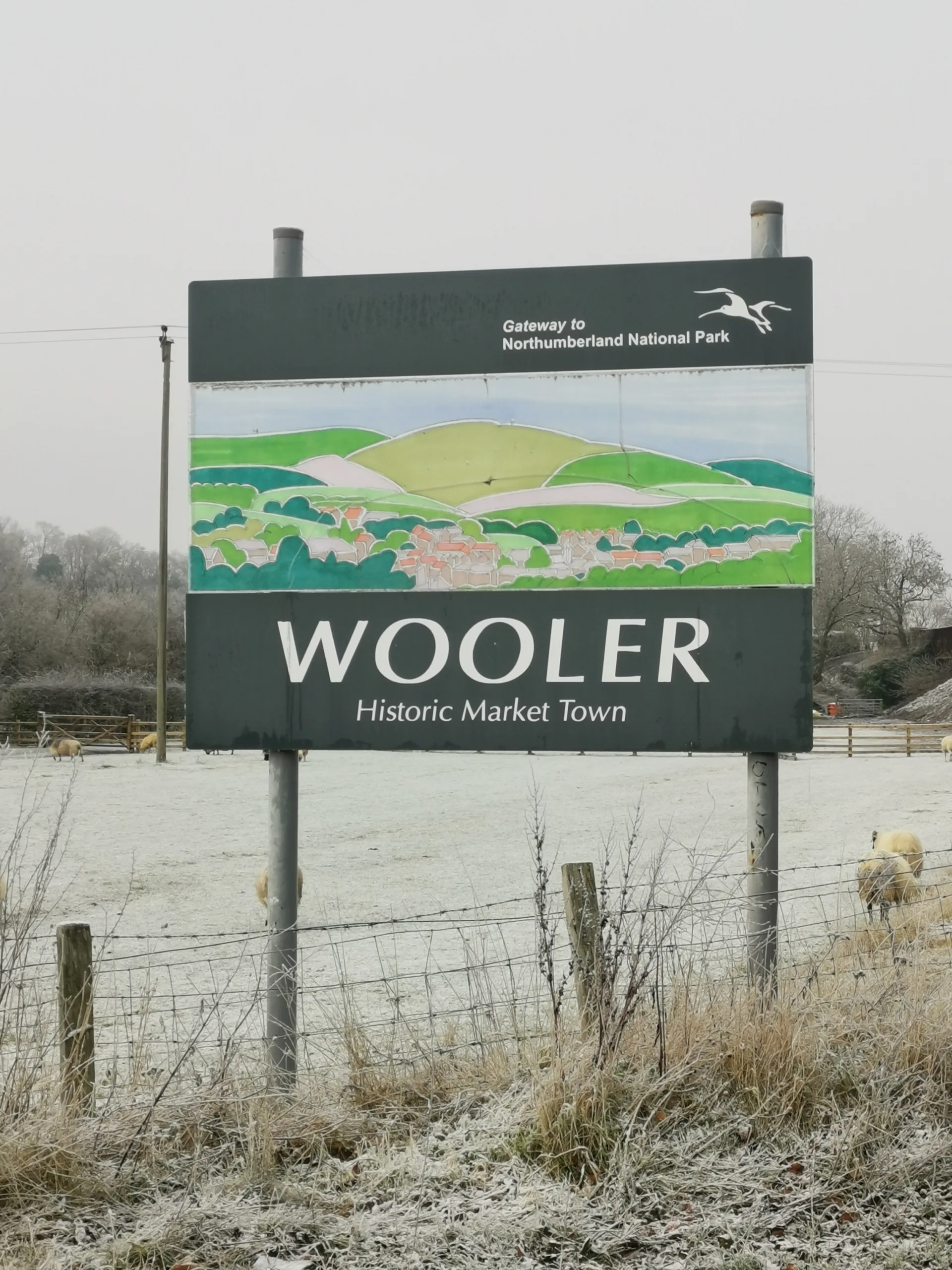Cyclists riding through the countryside near Wooler